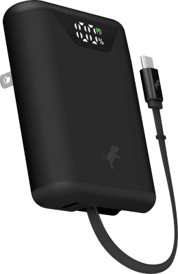 Wally Pro Stretch 30W Wall Charger
