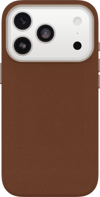 Apple iPhone 17 Pro Symmetry Cactus Leather w/ MagSafe