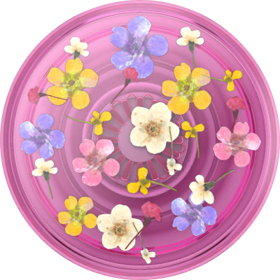Swappable PopGrips - Ditsy Floral
