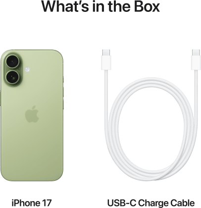 Apple iPhone 17 Sage